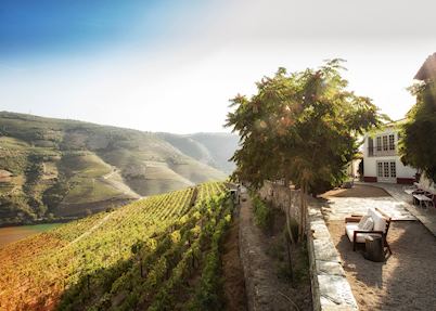 Quinta Nova, Covas do Douro