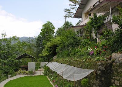 Gardens, Hidden Forest Retreat, Gangtok