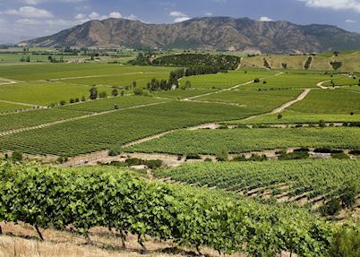 Colchagua wine region, Chile