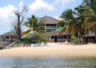 Baobab Ankify, Ankify