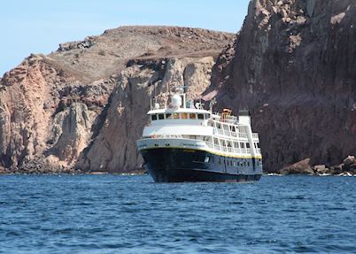 National Geographic Sea Lion/Sea Bird, La Paz