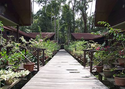 Abai Jungle Lodge, Kinabatangan River