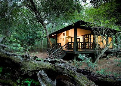 Phinda Forest Lodge, Phinda Private Game Reserve