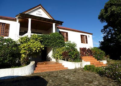 The Litchi Tree, Joffreville (Ambohitra)