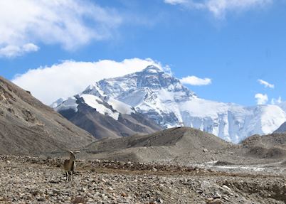 Everest's North Face