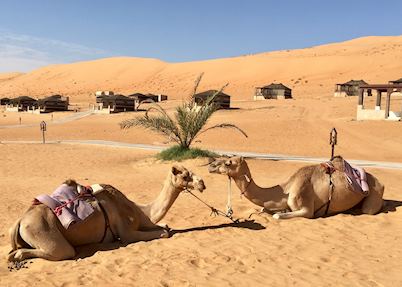 Thousand Nights Camp