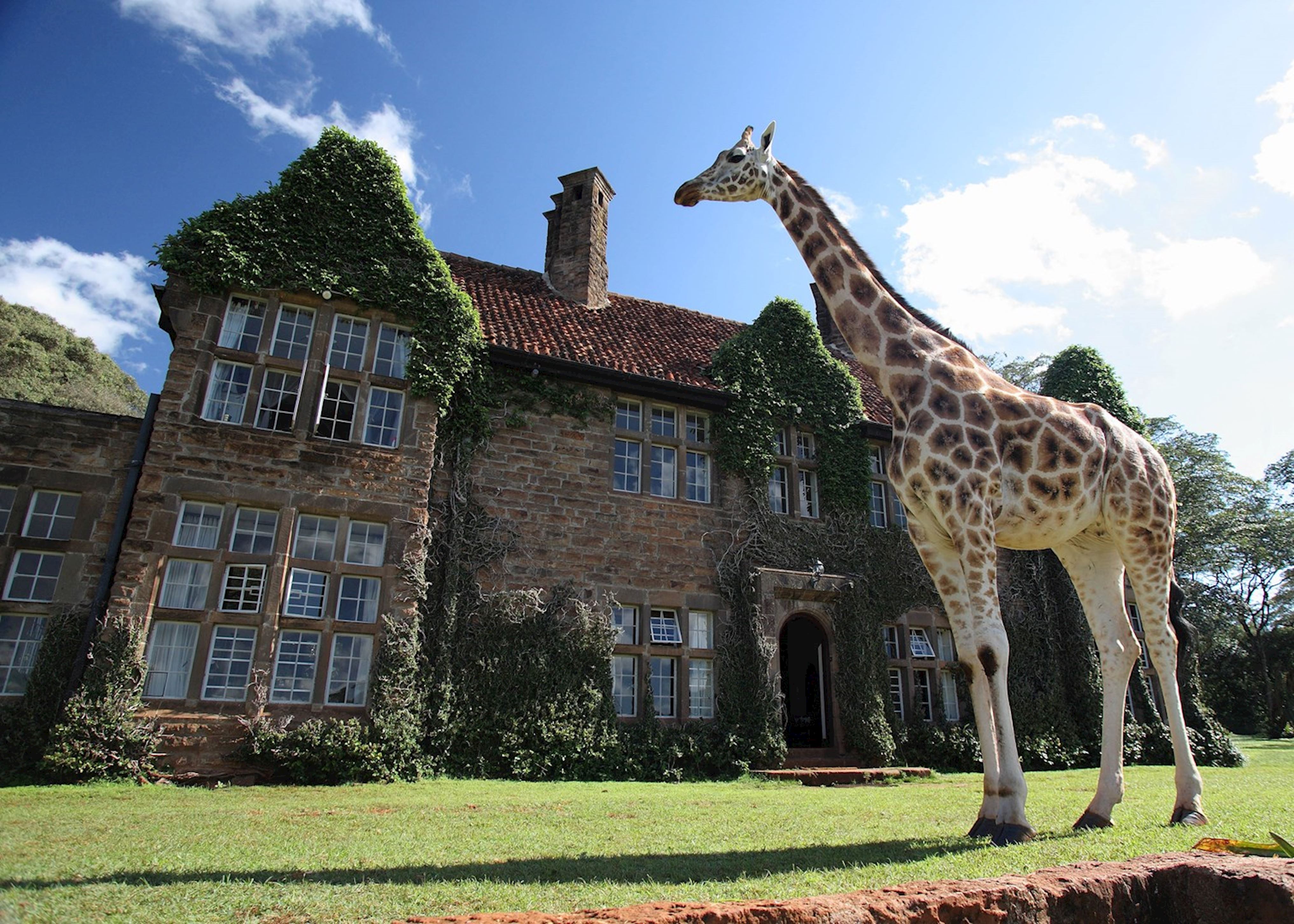 safari giraffe manor