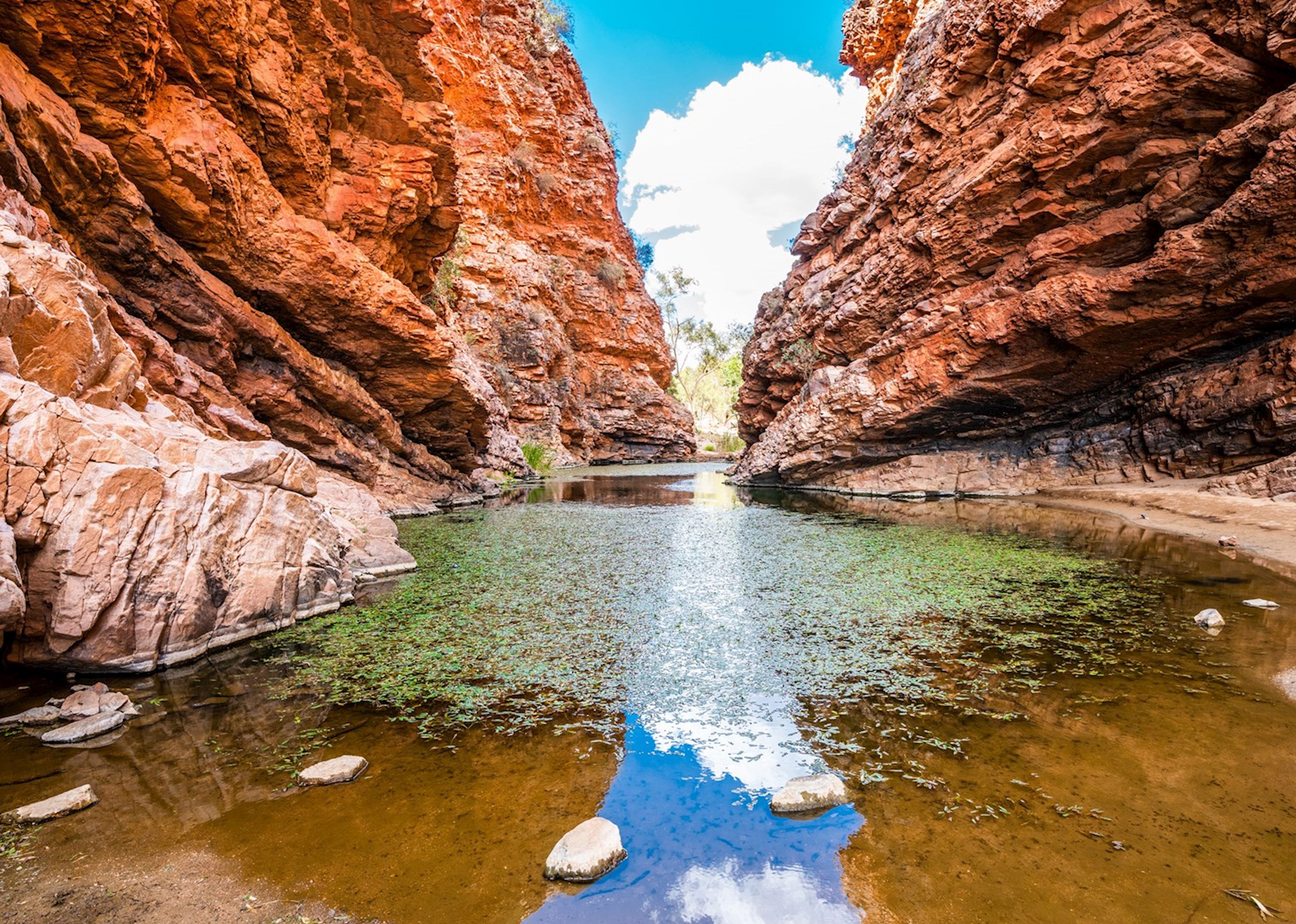 is alice springs safe to visit