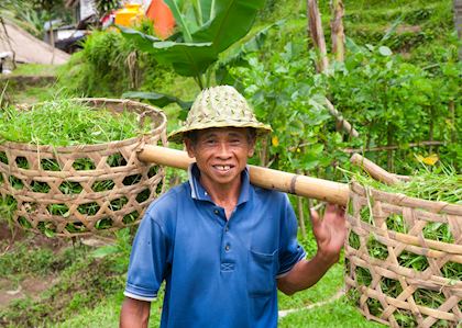 Off to work, Indonesia