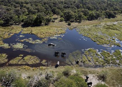 The Okavango Delta