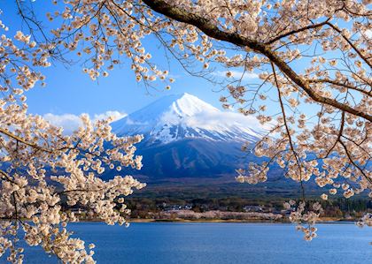 Kawaguchi-ko near Mount Fuji in Japan