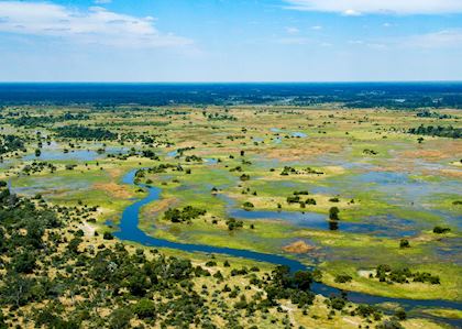 Beautiful floodplains that make up the Okavango Delta