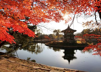 Pagoda in autumn 