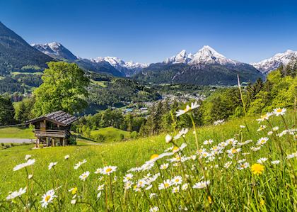 Bavarian Alps