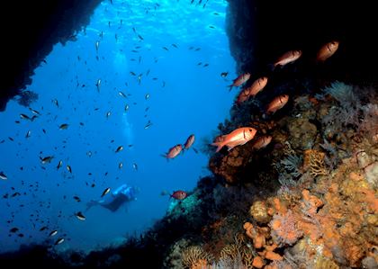 Diving off Scotts Head, Dominca