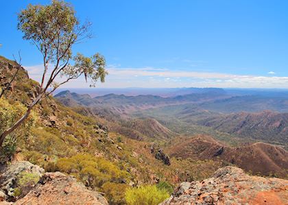 Flinders Ranges, Flinders Ranges