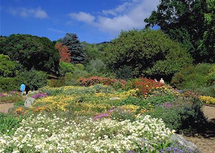 Kirstenbosch Botanical Garden, Cape Town, South Africa