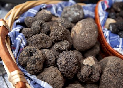 Fresh truffles, Italy