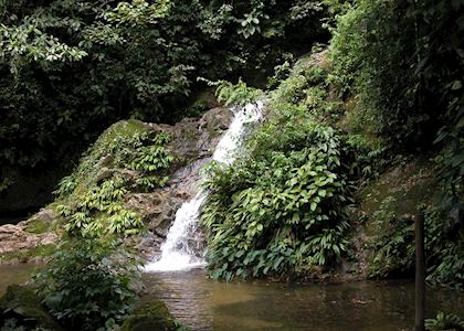 Pico Bonito National Park, Honduras