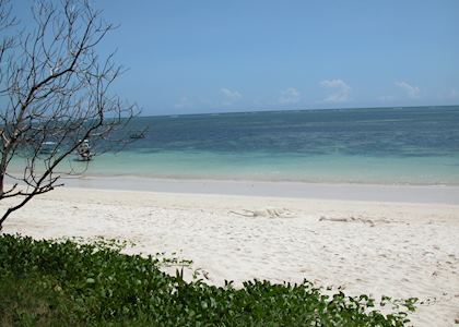 Mombasa beach
