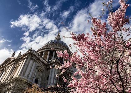 St Paul's Cathedral