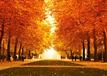 Autumn in Royal Park, Brussels