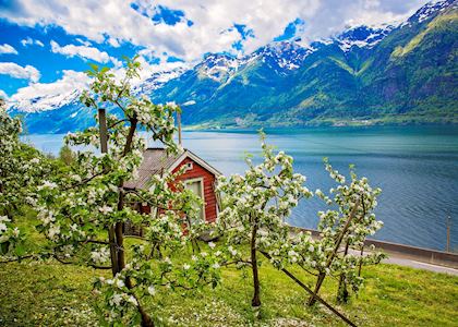 Hardangerfjord