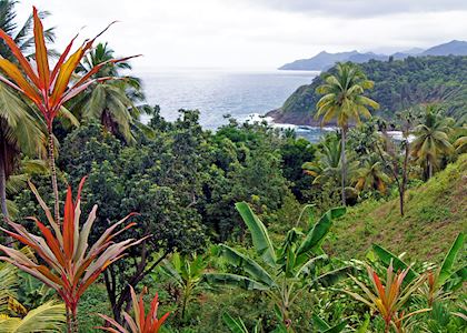 Dominica
