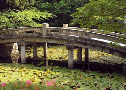 Temple pond and bridge, Kyoto