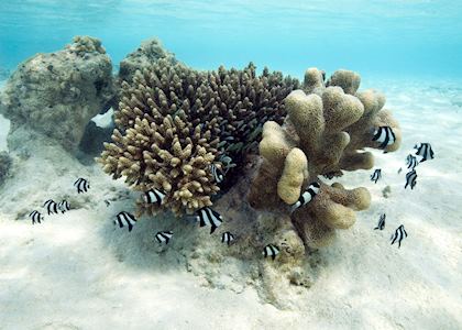 Aitutaki, The Cook Islands
