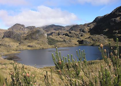El Cajas National Park, Ecuador