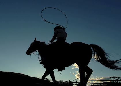 Cowboy in Calgary, Canada