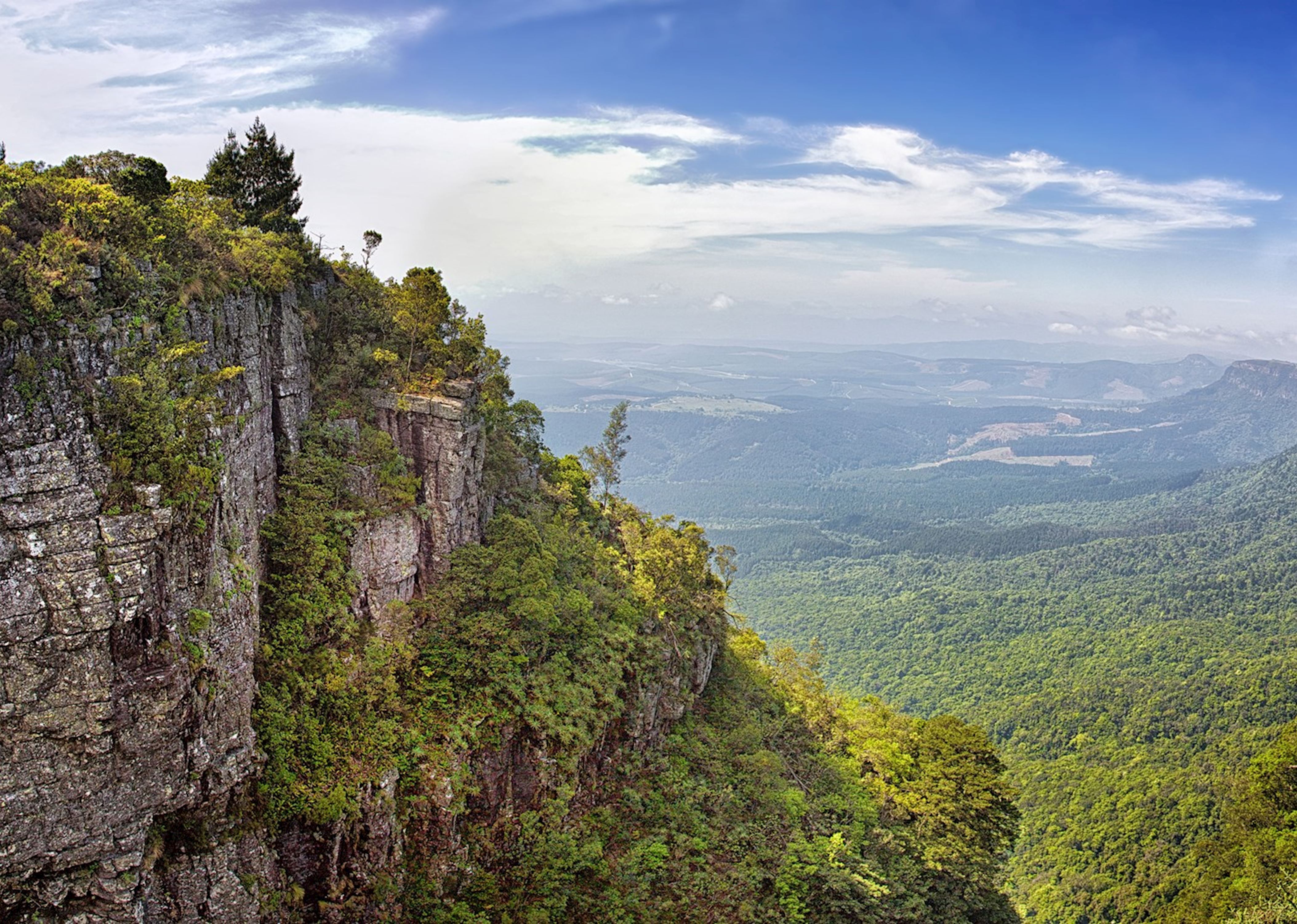 Visit The Escarpment, South Africa | Tailor-made Trips | Audley Travel UK