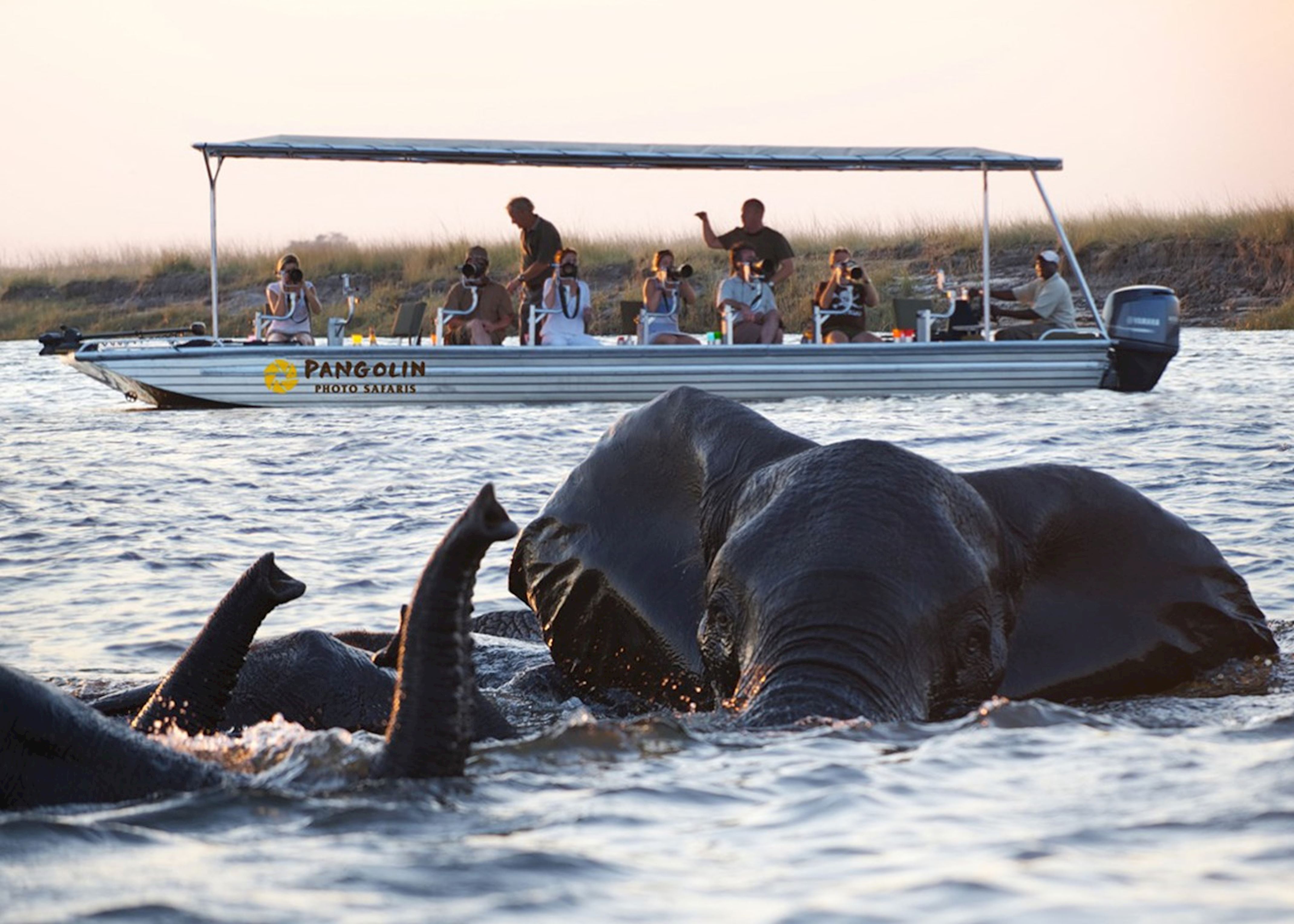 botswana safari e mare