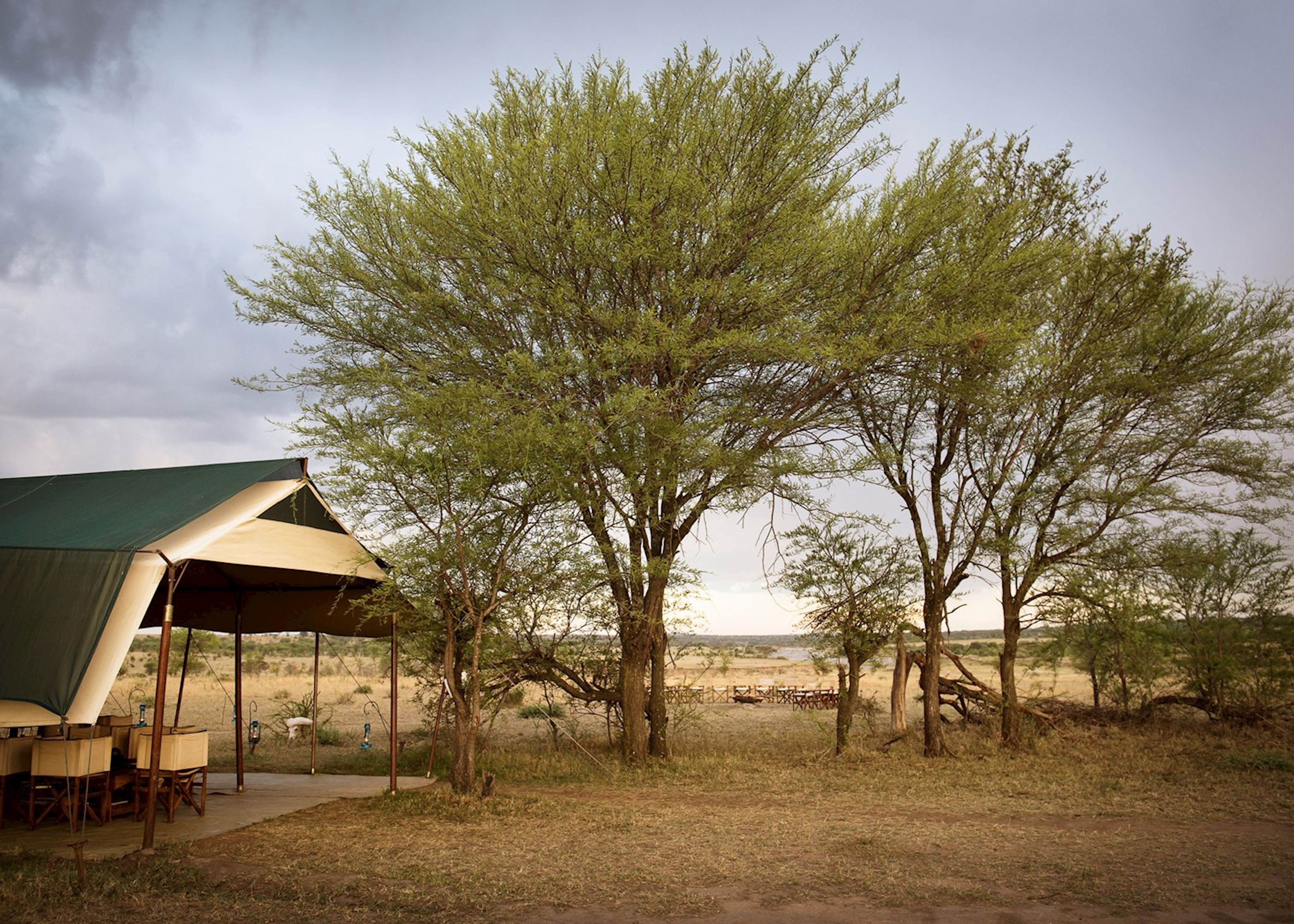 Olakira Migration Camp | Audley Travel UK