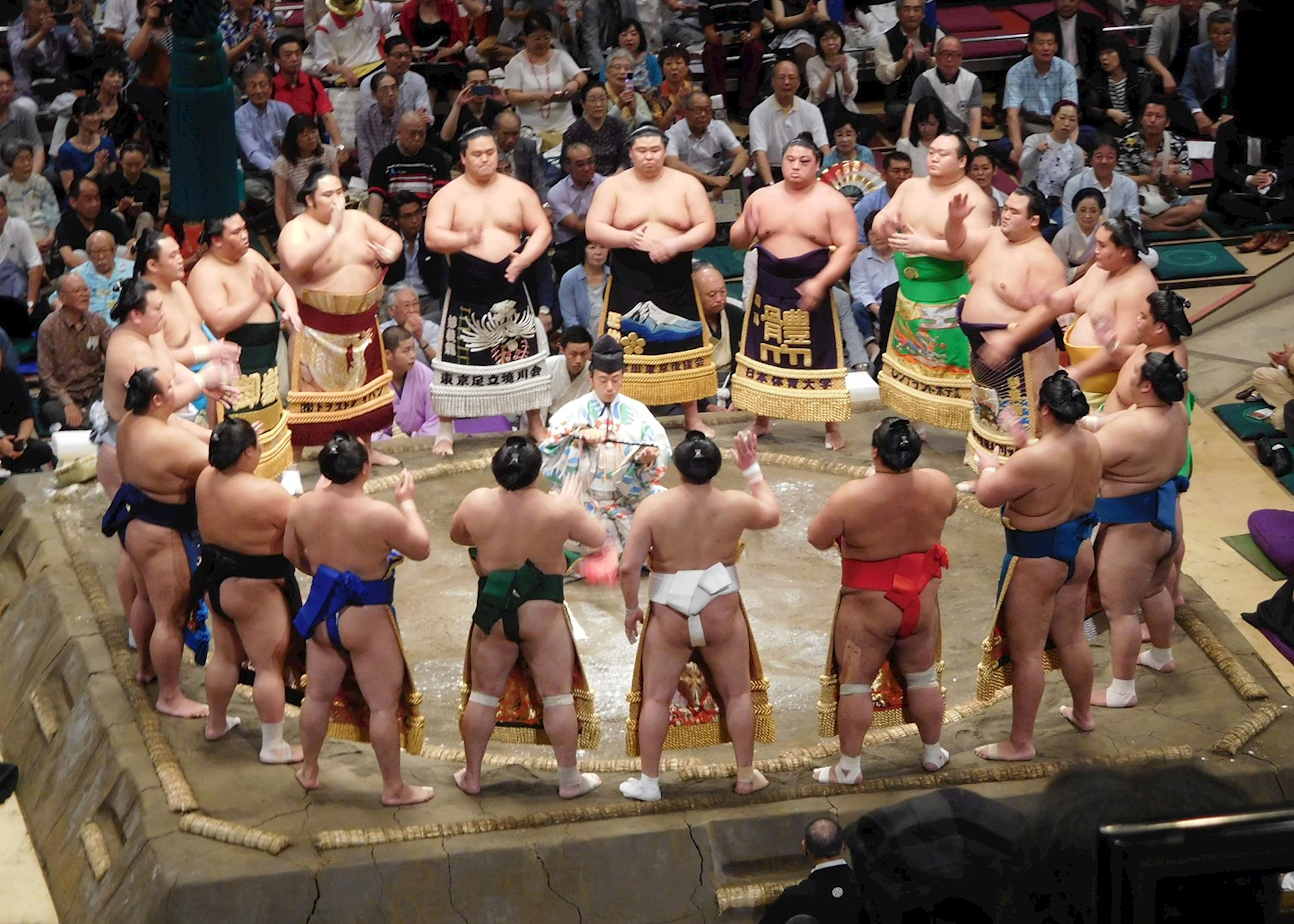 Что такое сумо. Сумо Япония. Круг для сумо. Сумо весовые категории.