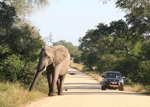 Self-driving in the Kruger National Park Self-driving in the Kruger National Park