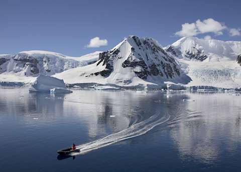Antarctica Antarctica