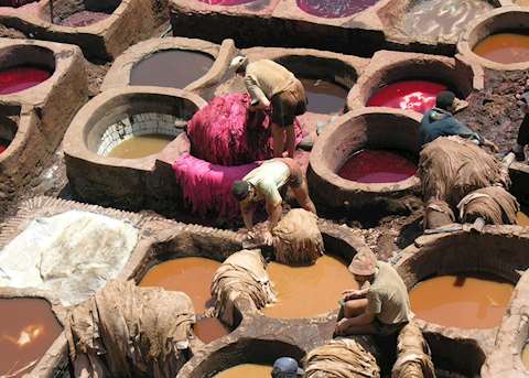Local men working at the Tannery in Fez Local men working at the Tannery in Fez