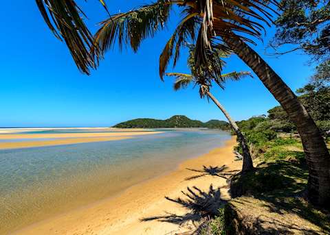 The Elephant Coast, South Africa The Elephant Coast, South Africa