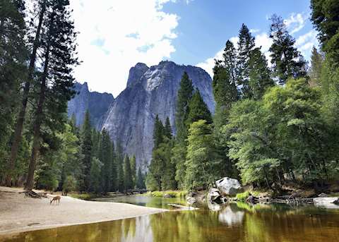 Yosemite National Park, Yosemite National Park Yosemite National Park, Yosemite National Park