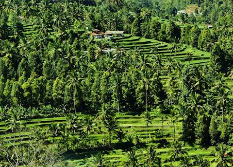 Munduk, Indonesia Munduk, Indonesia