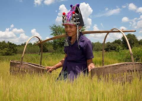 Lady of the Akha tribe, Laos Lady of the Akha tribe, Laos