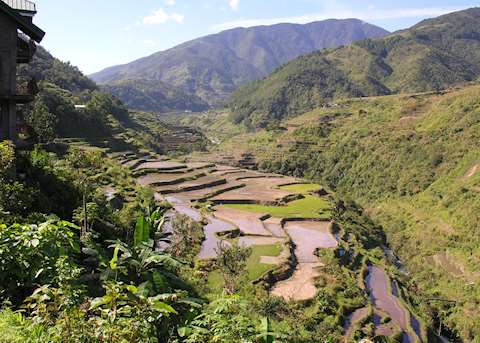 View along a river valley of rice terraces, Ifugao Province, Luzon View along a river valley of rice terraces, Ifugao Province, Luzon