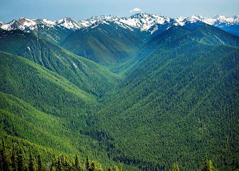 Hurricane Ridge Olympic National Park Hurricane Ridge Olympic National Park