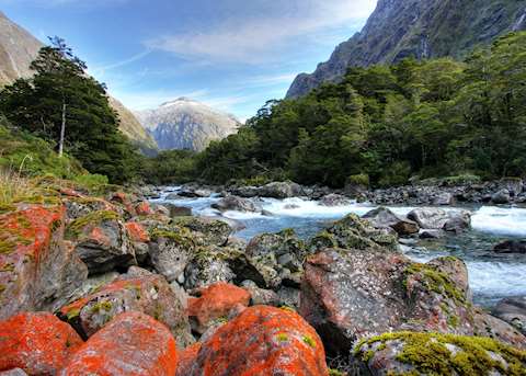 River on the Hollyford Track, New Zealand River on the Hollyford Track, New Zealand