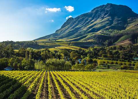 Stellenbosch, South Africa Stellenbosch, South Africa