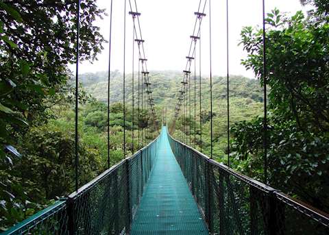 Selvatura Hanging Bridges, Monteverde Selvatura Hanging Bridges, Monteverde