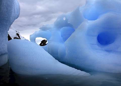 Icebergs Icebergs