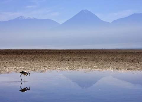 The Atacama, Chile The Atacama, Chile